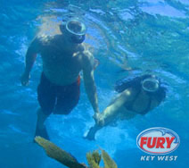trip-image Snorkeling in 2 spots in Key West