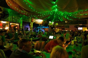 image of green parrot bar