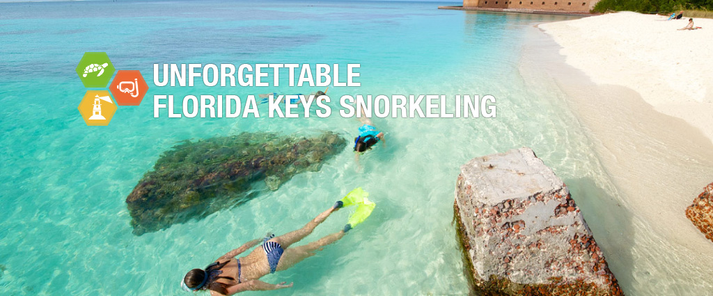 Snorkeling at the Dry Tortugas