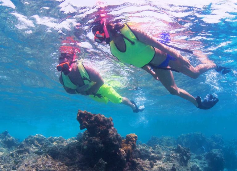 Key West Snorkeling Visit The Coral Reef by Catamaran
